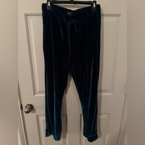 PatBO Blue/Teal Velvet Pants size Large
